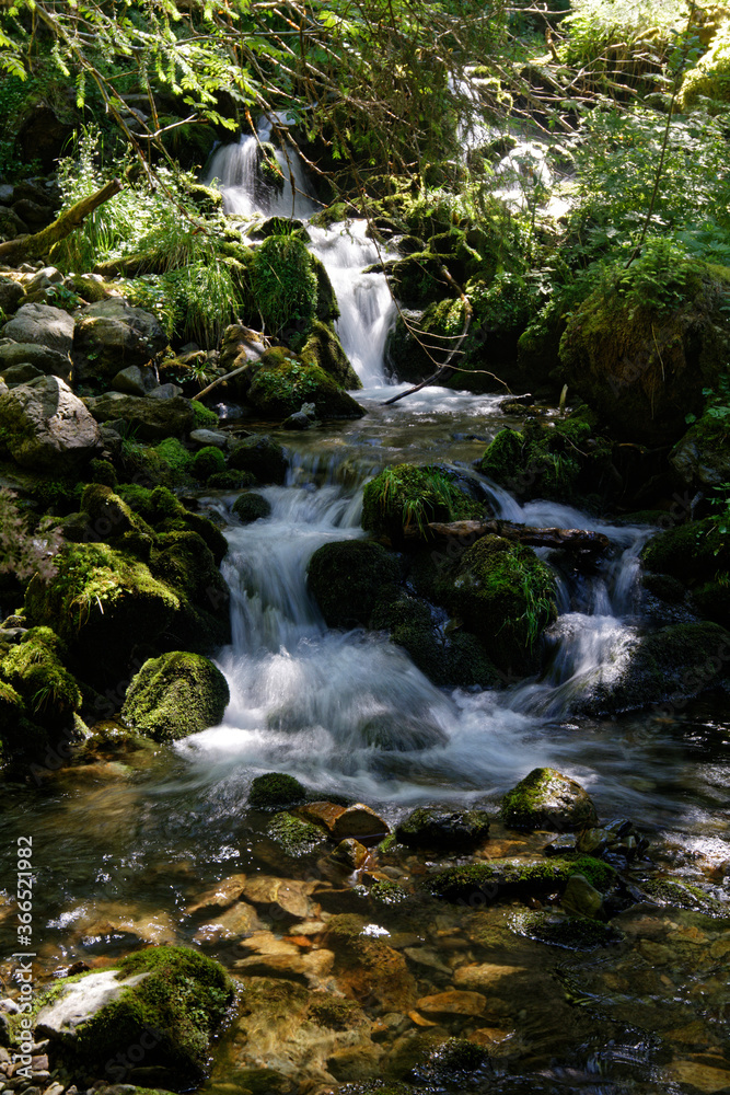 Naklejka premium Small waterfall in a forest of Belledonne