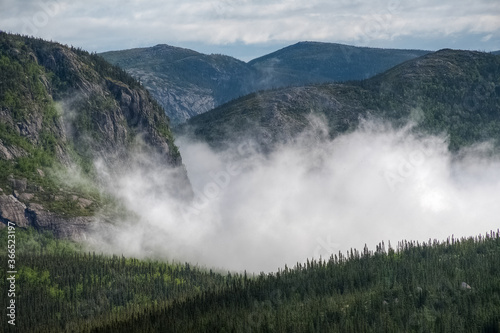 Valley of clouds in the boreal forest  Qu  bec  Canada
