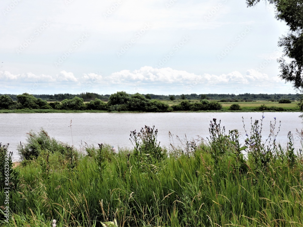 summer landscape with lake, Novgorod, Russia summer landscape with lake, Novgorod, Russia