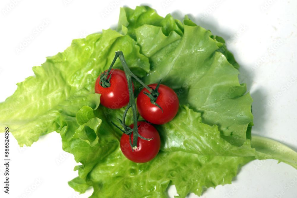 three cherry tomatoes isolated on salad leaves isolated on white background flat lay three cherry tomatoes isolated on salad leaves isolated on white background flat lay