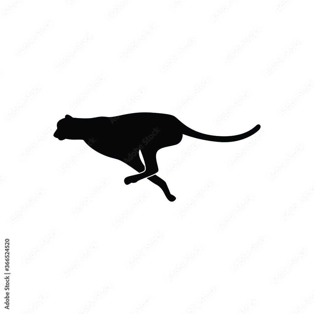 Simple Sheetah icon or logo on white background, danger wild animal concept.