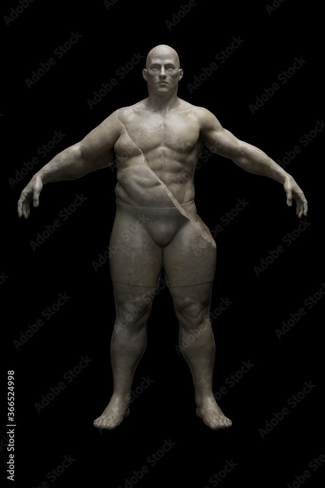 Fat loss process. Divided Half fat half muscular male figure. Before and after results of weight loss, diet and exercise. Plastic surgery and liposuction. 3D illustration Fat loss process. Divided Half fat half muscular male figure. Before and after results of weight loss, diet and exercise. Plastic surgery and liposuction. 3D illustration