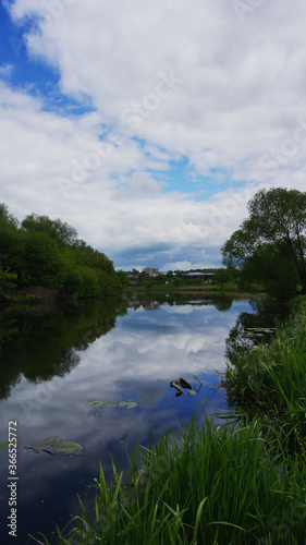 river with overgrown banks and clouds