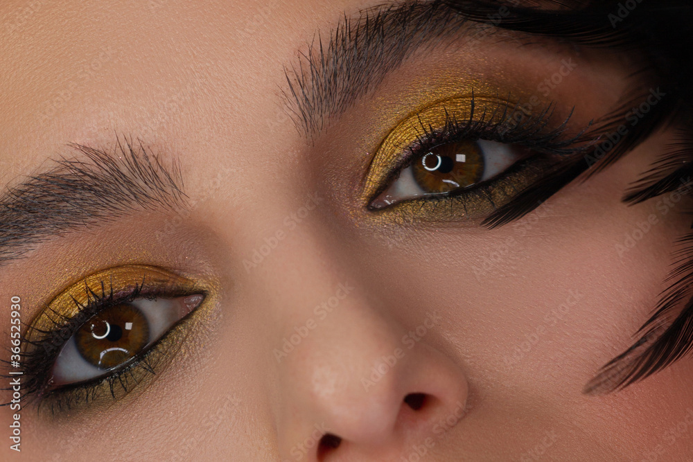 Obraz premium Beautiful macro shot of female eye with classic smoky makeup. Perfect shape of eyebrows, brown eyeshadows and long eyelashes.Closeup macro shot of fashion smoky eyes visage. Before and after