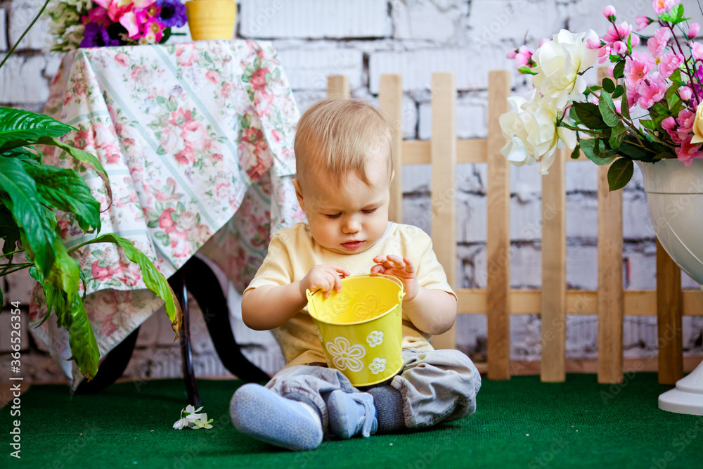 Fototapeta premium little boy playing with toys in garden