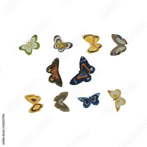 Butterfly moth insect vector illustration set