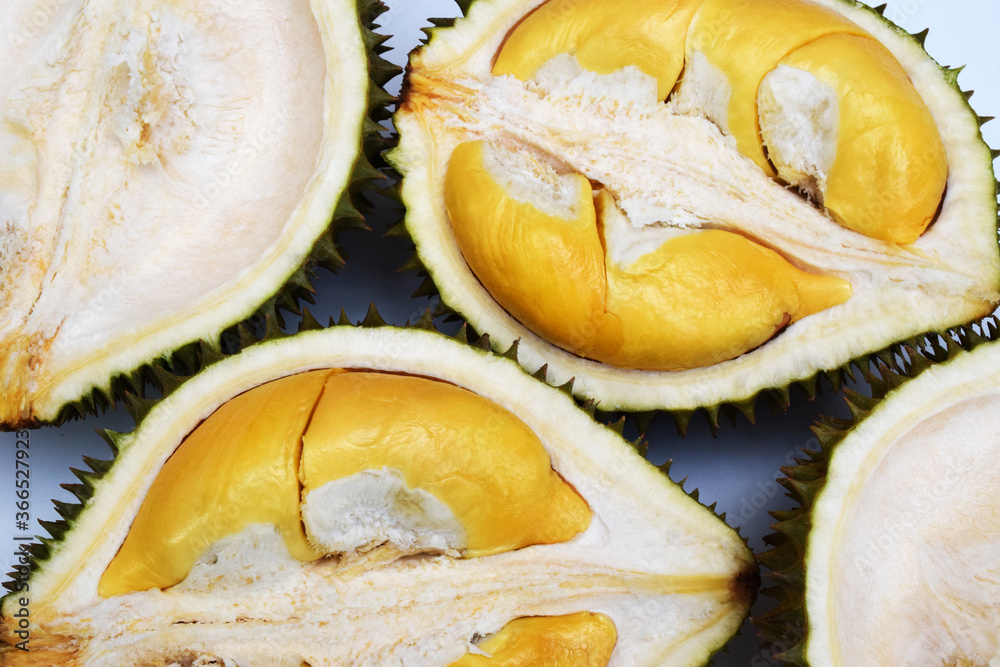 Durian on a white background Durian on a white background