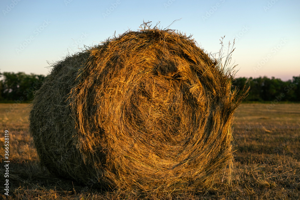 One large haystack in a field at sunset One large haystack in a field at sunset