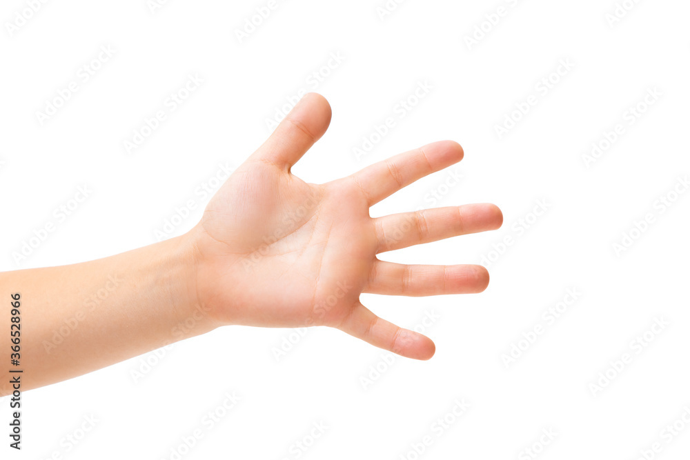 Palm open. Children's hand, palm gesturing isolated on white studio background with copyspace for your advertising. Little girl's hand with signs. Childhood, education, sales, ad, expression concept. Palm open. Children's hand, palm gesturing isolated on white studio background with copyspace for your advertising. Little girl's hand with signs. Childhood, education, sales, ad, expression concept.