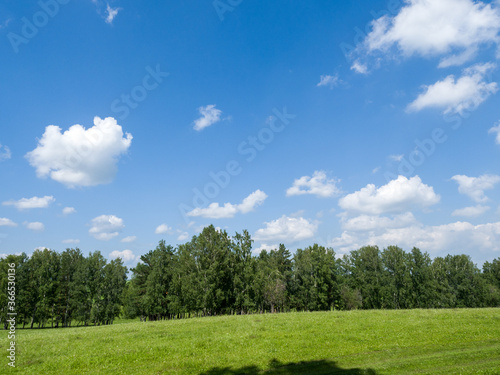 Green field and forest. Clouds in the blue sky. Summer sunny day