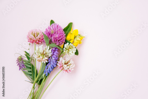 Flat lay of miniature wildflowers on pink paper background, copyspace for summer and wedding design. Boutonniere from clover and mouse pease