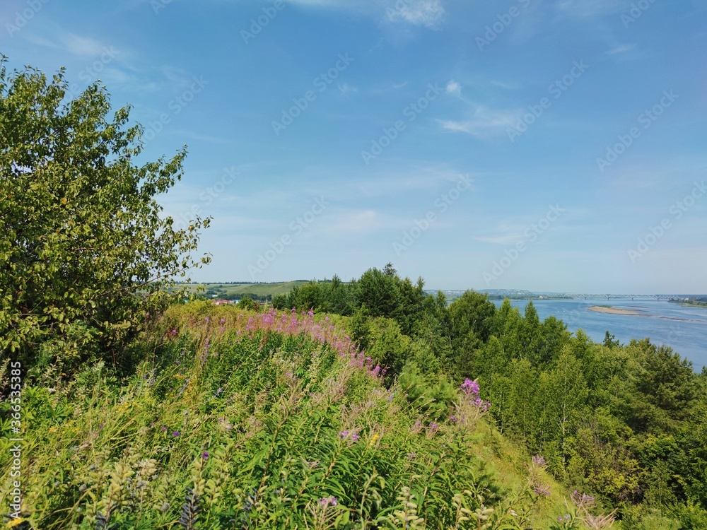 green slope with trees near the river on a sunny day against the blue sky