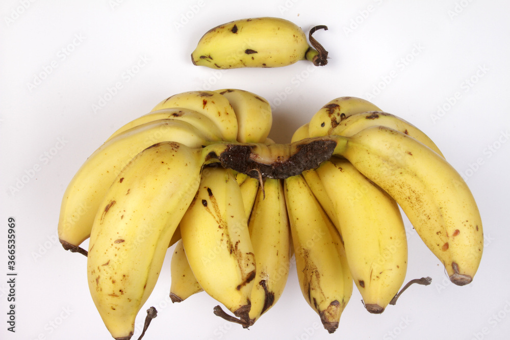 bananas on a white background bananas on a white background