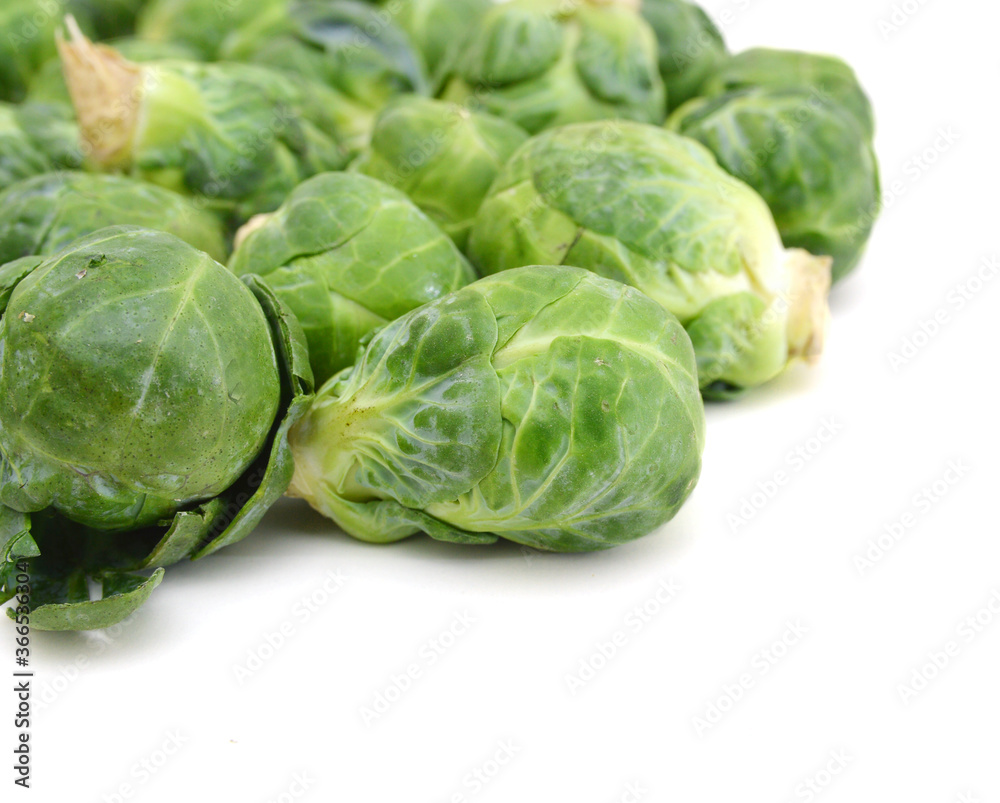 freshly brussel sprouts and some whole ones on a white background freshly brussel sprouts and some whole ones on a white background