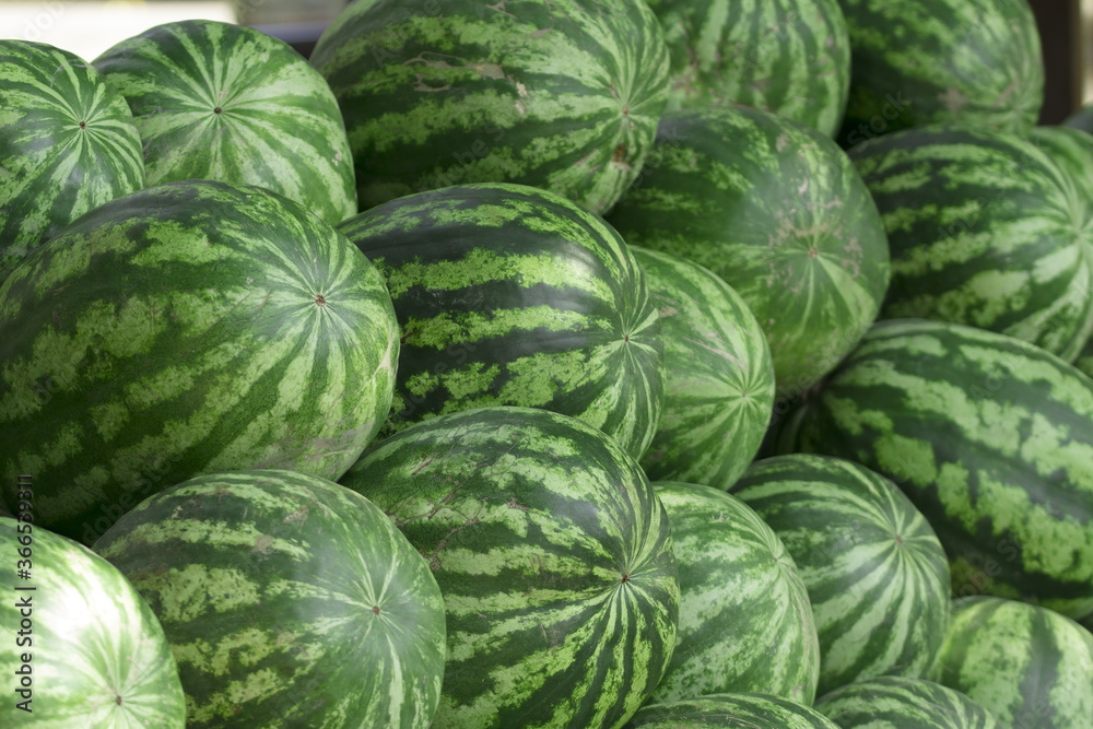 Heap of fresh watermelons for sale