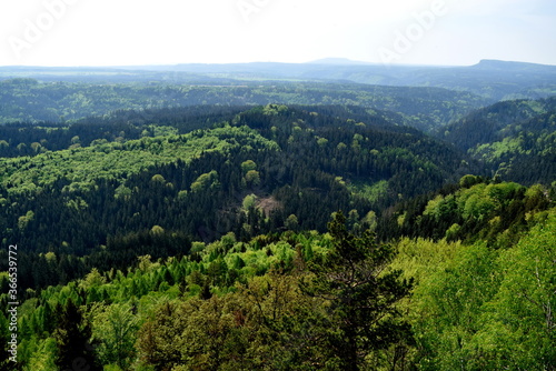 Fototapeta Naklejka Na Ścianę i Meble -  A view of the mystical landscape of pine forests and the deep valleys of the Czech Switzerland National Park