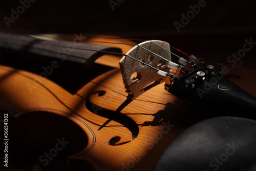 violin