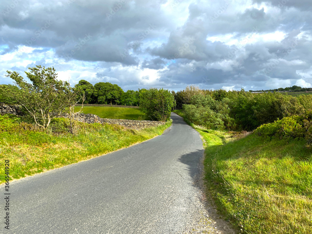 Country road, with trees, grass, and cloudy weather near, Bradford, Yorkshire, UK Country road, with trees, grass, and cloudy weather near, Bradford, Yorkshire, UK