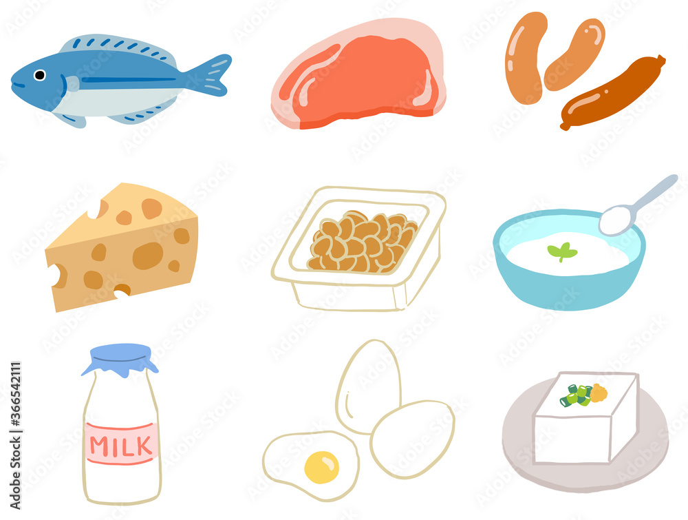 タンパク質 イラストセット 栄養 Stock Vector Adobe Stock