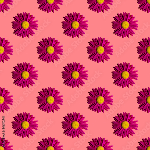 Fashionable summer floral pattern. Bright pink daisies on a pink background with hard shadows, flat lay, top view, seamless texture. Minimalistic background in style pop art. Fabric and card ideas © LesdaMore