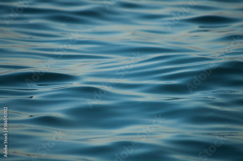 blue water ripples © reginadmt