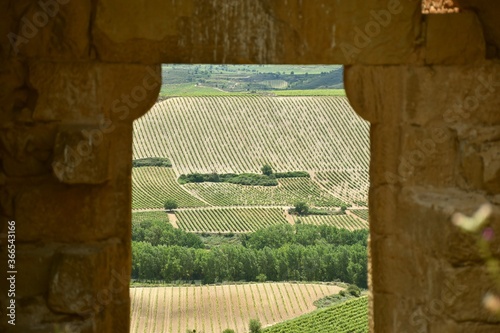 View of vineyards and the Ebro river from the unfocused entrance door of the ruins of the Castillo de Davalillo, a 12th century construction.