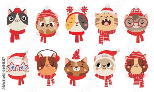 Winter cats in scarf and hat. Cute pet wearing Christmas accessory as earmuffs and party santa hats. Adorable kittens yawning, smiling with closed eyes, domestic animal vector illustration