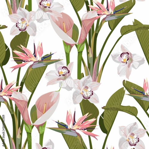 Illustration with pink exotic flowers. Beautiful seamless background with tropical flowers on white. Composition with calla lily, orchids and paradise strelitzia with leaves.