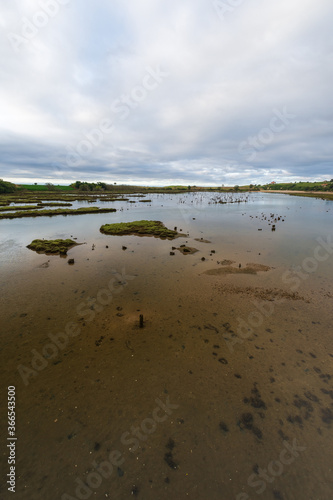 View of a ria with a sandy bottom and green vegetation, a cloudy afternoon, in Oyambre, Cantabria, Spain, vertically