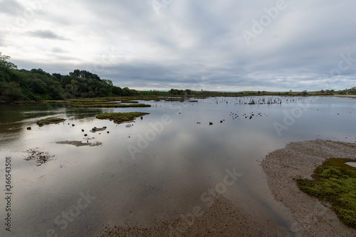Landscape of ria with the tide going down, vegetation, a cloudy afternoon, in the natural park of Oyambre, in Cantabria, Spain, horizontal