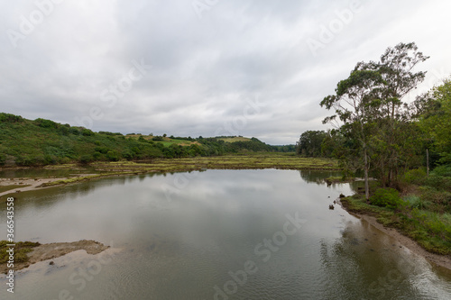 Landscape of river banks with vegetation and trees, a cloudy afternoon, in Oyambre, Cantabria, horizontal
