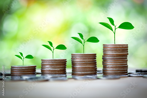 Plant growing on coins and row of money concept to growing up land and house, loan, investment and saving money for the future isolated on bokeh background.