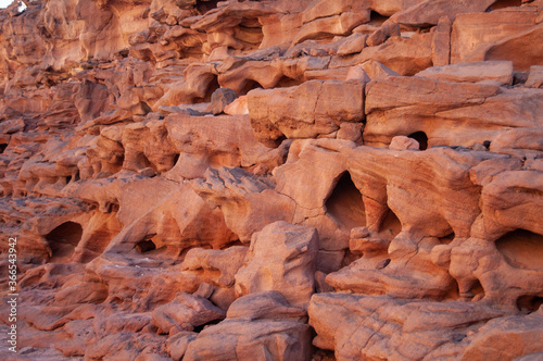 red rocks in the desert
