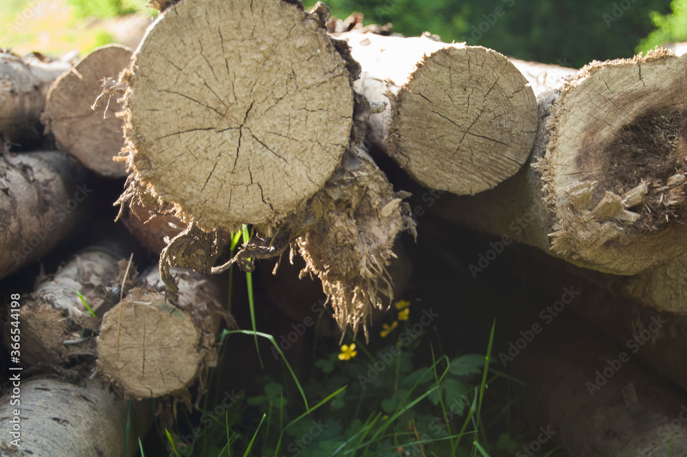 stack of firewood stack of firewood