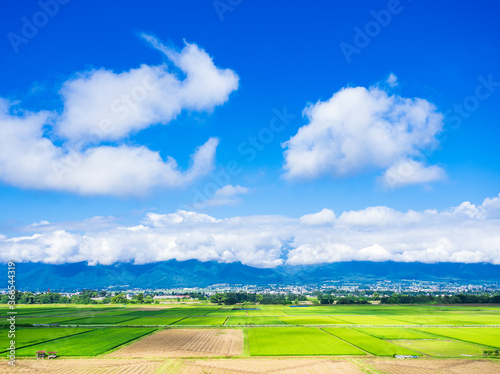 夏の信州　安曇野の田園風景 © oben901