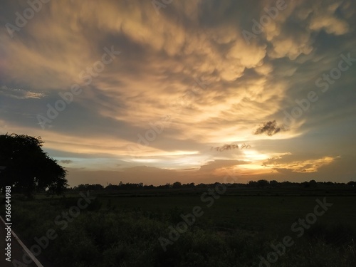 sunset over the field © Anuj
