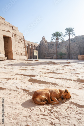 Ruinas egipcias y templos