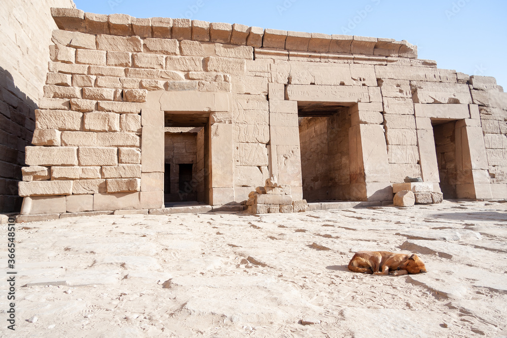 Ruinas egipcias y templos