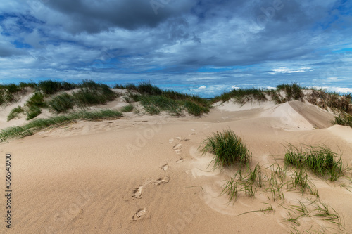 Dunes at Baltic sea coast in Liepaja, Latvia.