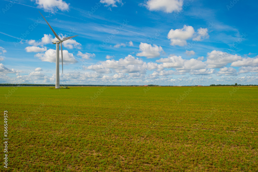 Green agricultural field in the countryside below a blue cloudy sky in sunlight in summer, Almere, Flevoland, The Netherlands, July 22, 2020 Green agricultural field in the countryside below a blue cloudy sky in sunlight in summer, Almere, Flevoland, The Netherlands, July 22, 2020