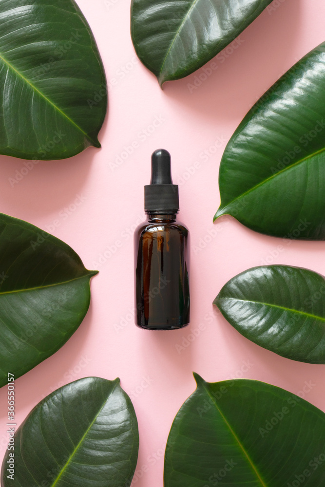 Serum bottle with dropper in frame from green tropical leaves on pink background. Aromatherapy oil. Vitamin fluid natural beauty product for summer skin or body care. Dermatology and cosmetology