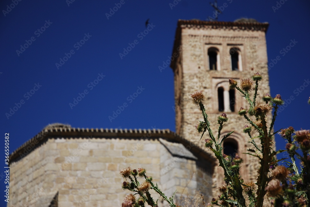 planta de flores espinosas frente a fachada de iglesia medieval planta de flores espinosas frente a fachada de iglesia medieval