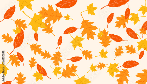 Leaf fall. Background with falling leaves. Blank or template with falling autumn leaves. Vector illustration.