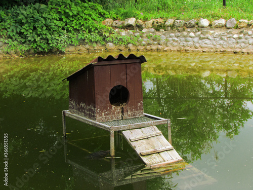 bird house on the lake
