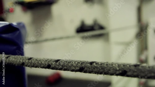 Wallpaper Mural Boxing Ring Ropes on a Club Interior. Close-Up.  Torontodigital.ca
