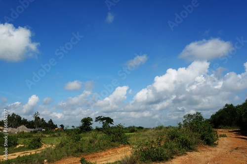 landscape with blue sky and white clouds