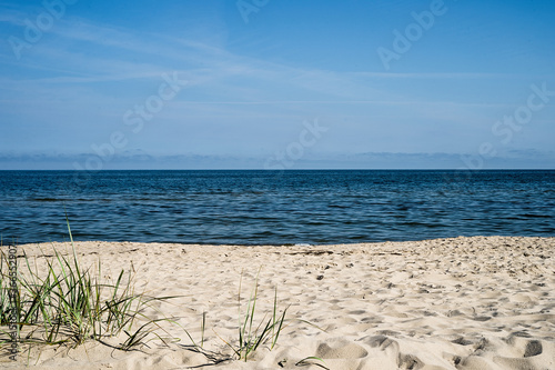 Fototapeta Naklejka Na Ścianę i Meble -  green grass on the beach on the baltic sea in poland
