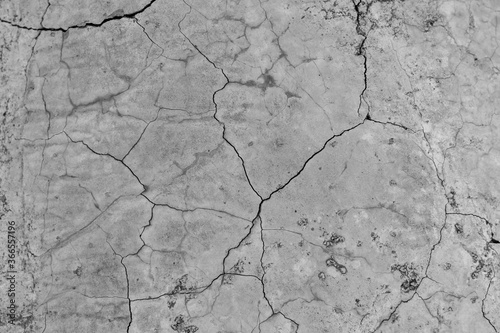 The surface of old gray cracked concrete. Close-up.