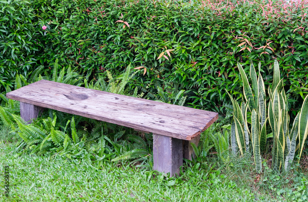 Fototapeta premium Small wooden bench in the backyard garden.
