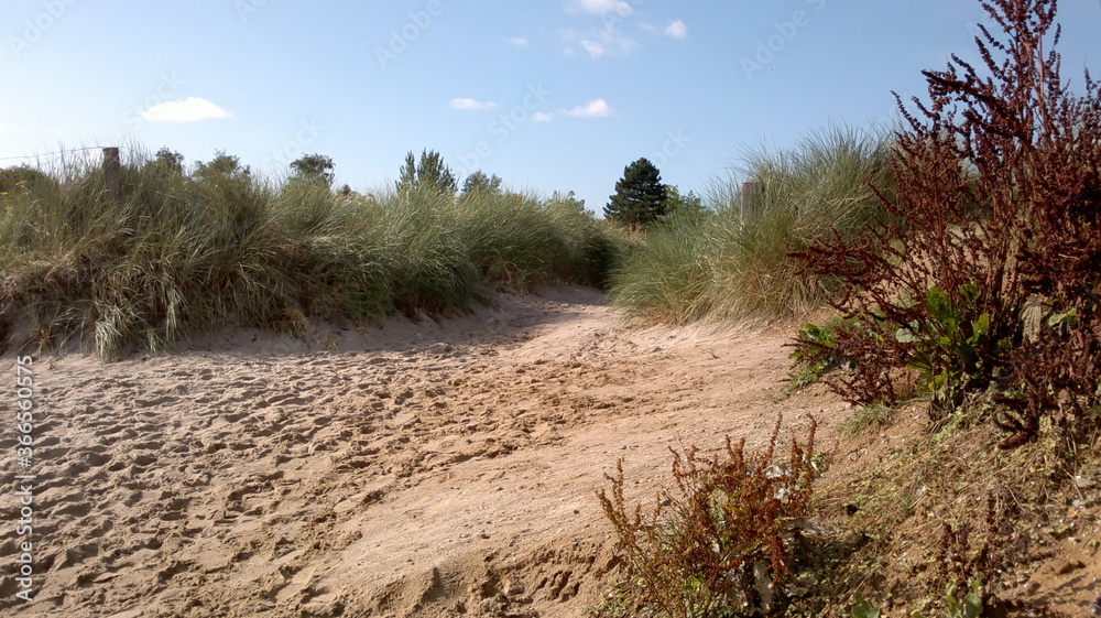 Strand Strand